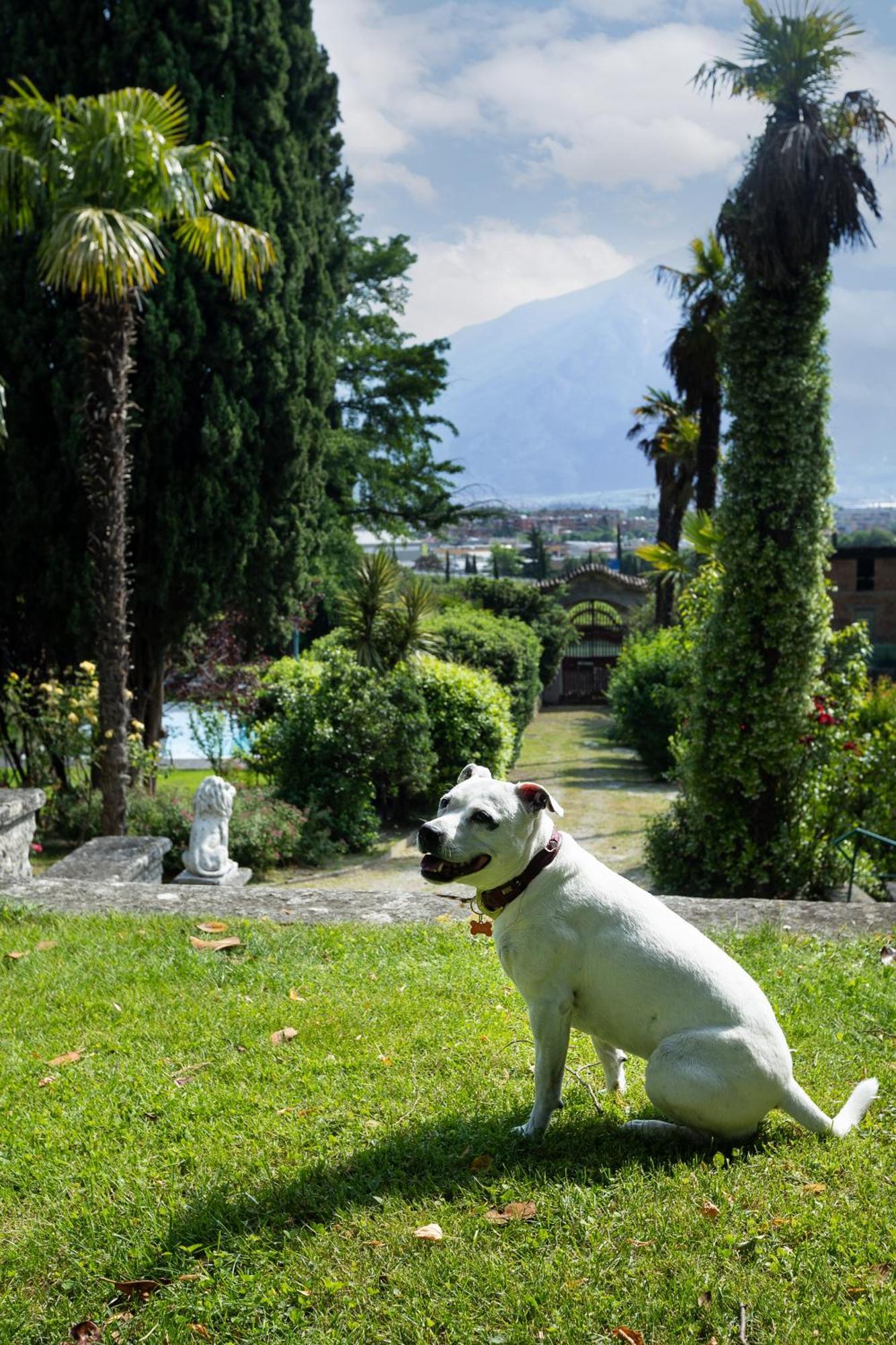 Angelica Aparthotel Riva del Garda